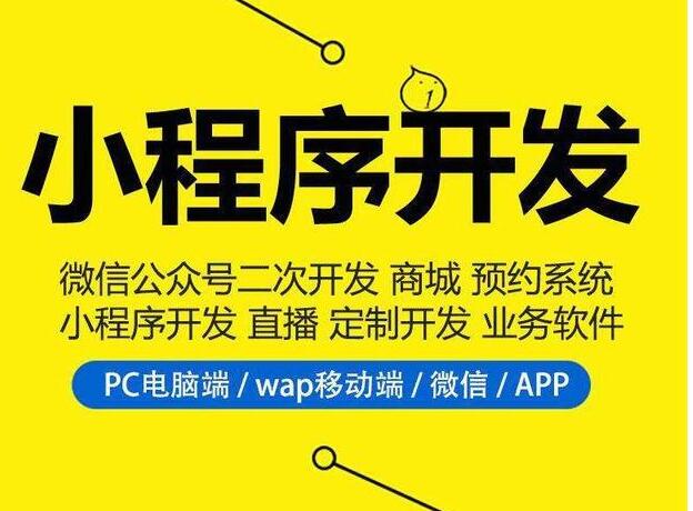 区住建局连夜开发小程序__微信投票帮小程序怎样设置