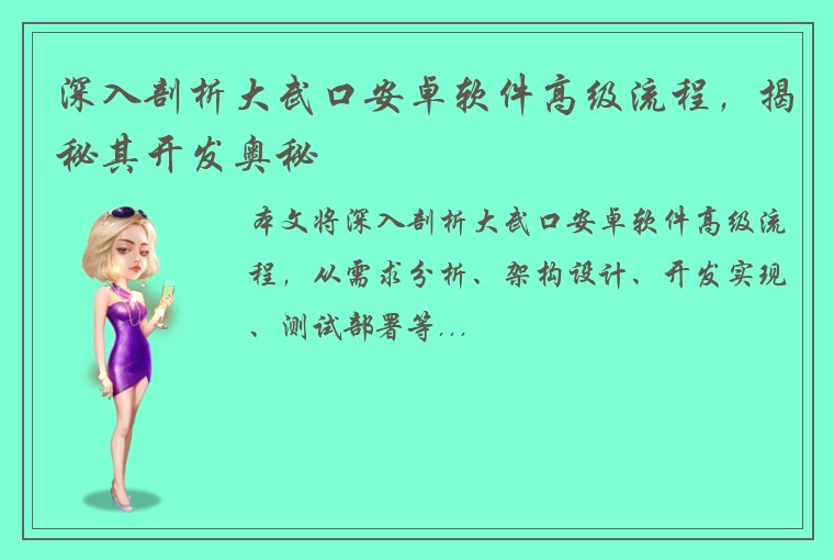 深入剖析大武口安卓软件高级流程，揭秘其开发奥秘